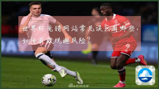 世界杯竞猜网站常见误区有哪些，如何有效规避风险？