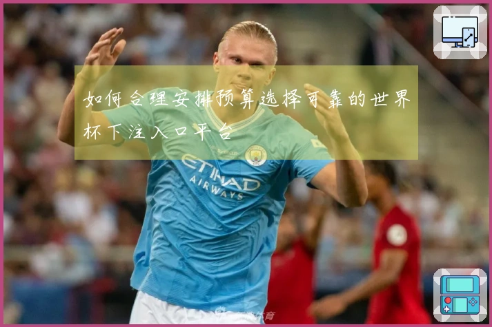 如何合理安排预算选择可靠的世界杯下注入口平台