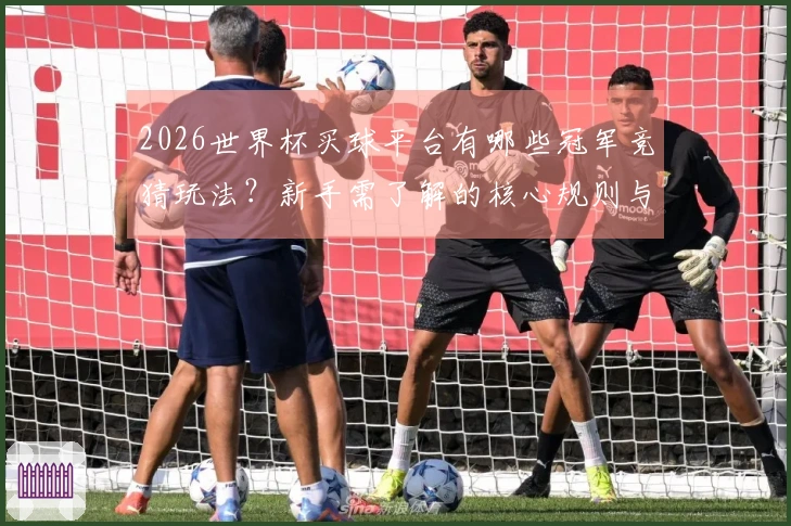 2026世界杯买球平台有哪些冠军竞猜玩法？新手需了解的核心规则与注意事项