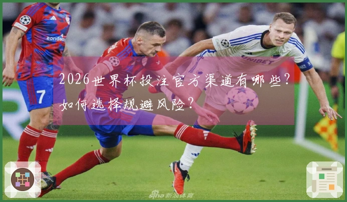 2026世界杯投注官方渠道有哪些？如何选择规避风险？