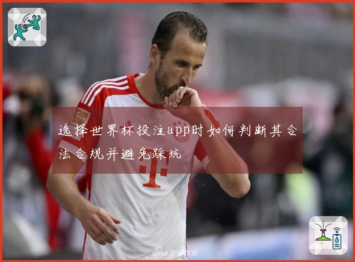 选择世界杯投注app时如何判断其合法合规并避免踩坑