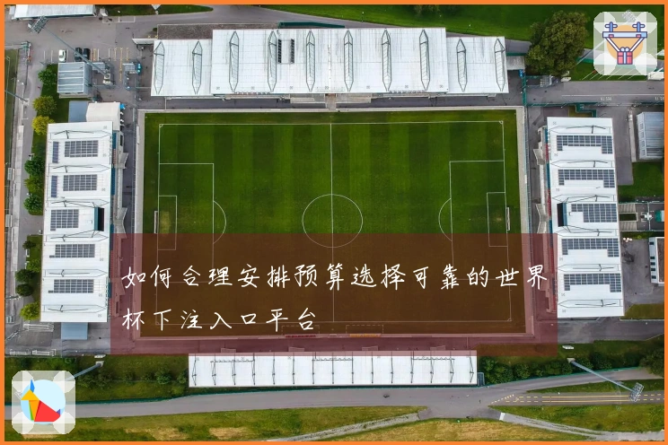 如何合理安排预算选择可靠的世界杯下注入口平台