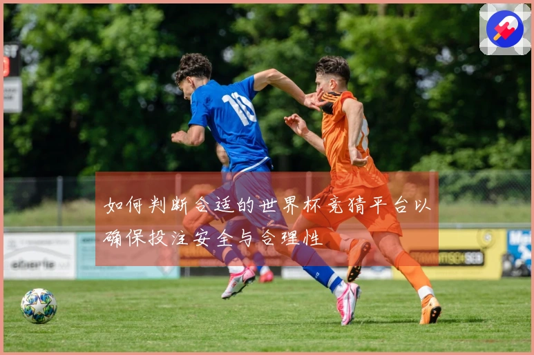 如何判断合适的世界杯竞猜平台以确保投注安全与合理性